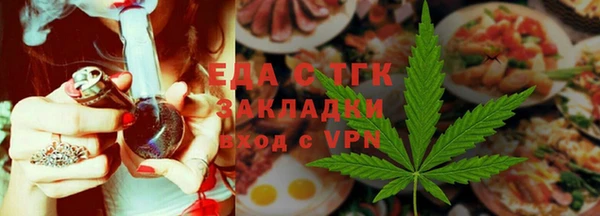 индика Михайловск