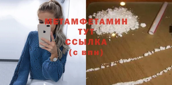 индика Михайловск