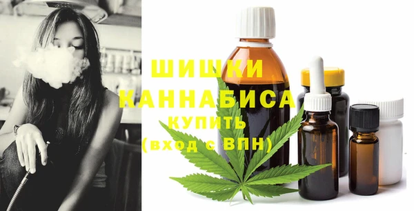индика Михайловск