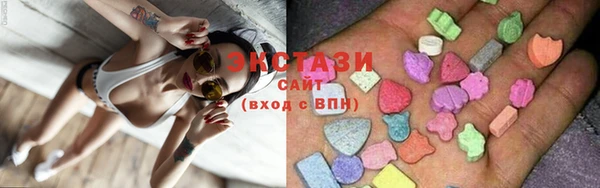 индика Михайловск