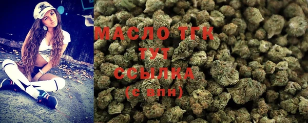 индика Михайловск