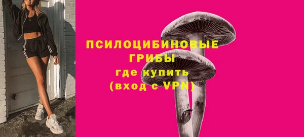 ешки Михайлов
