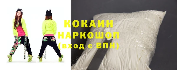 индика Михайловск