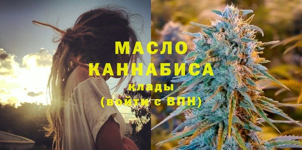 индика Михайловск