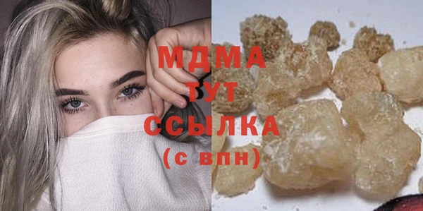 индика Михайловск