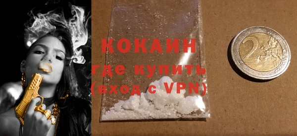 индика Михайловск