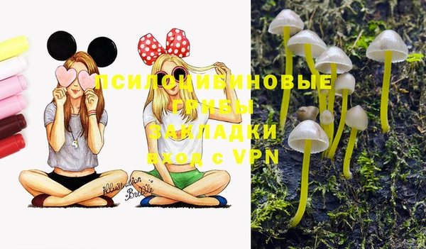 MDMA Михайловка