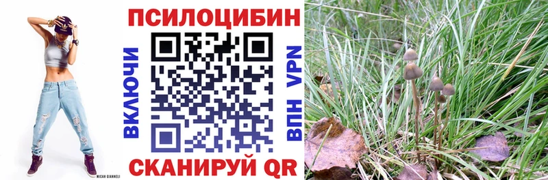 Псилоцибиновые грибы Psilocybine cubensis  гидра вход  Подпорожье 
